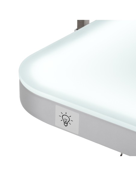 Tavolo da toelettatura elettrico PAW 3 con illuminazione bianco