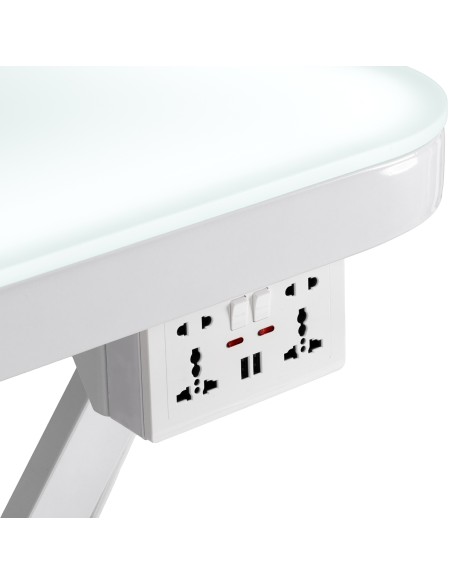 Tavolo da toelettatura elettrico PAW 3 con illuminazione bianco