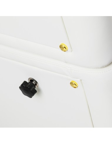 Poltrona da salone elettrica Sillon Cloud 3...
