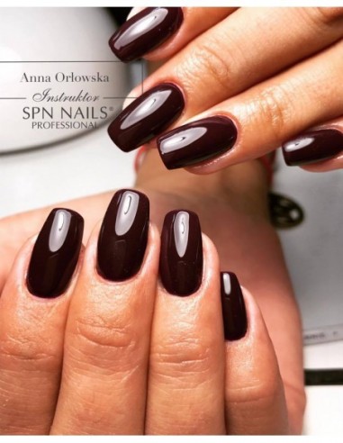 813 Smalto semipermanente UV LaQ Fig Muffin 8ml