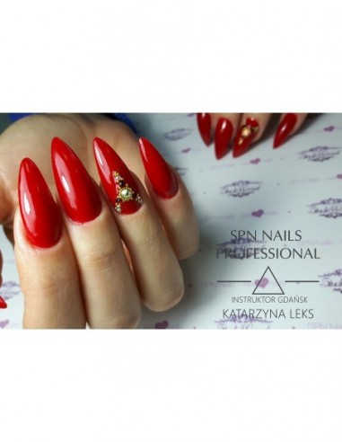 541 Smalto semipermanente UV LaQ MonteVerdi 8ml