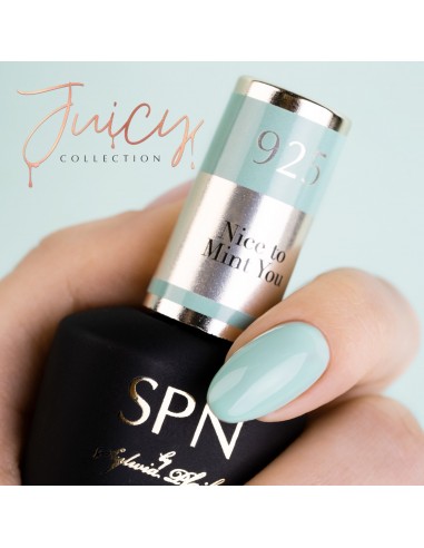 925 Smalto semipermanente UV LaQ Nice To Mint You 8ml