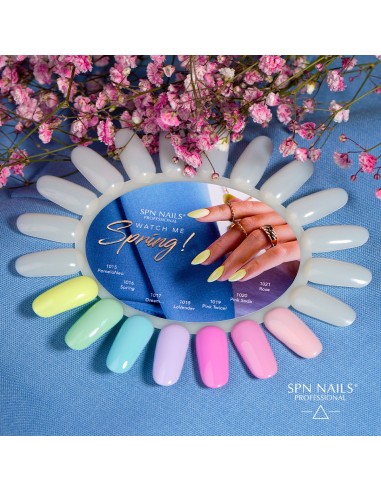 1017 Smalto semipermanente Dream... UV LaQ 8ml